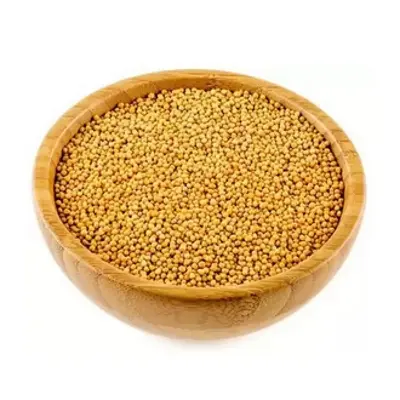 Picture of White Mustard / Sada Sorisha 500 gm