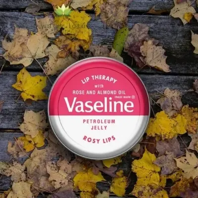 Picture of Vaseline Lip Therapy - Rosy Lips (20g)