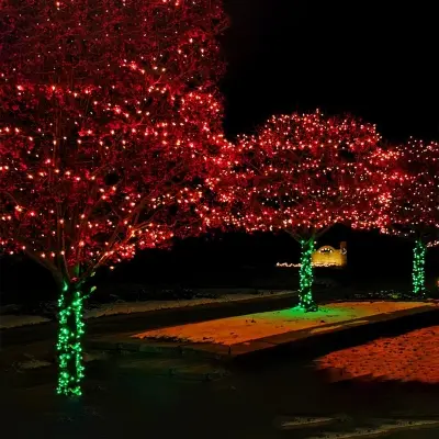 Picture of Fairy Decorative Light 100 Led- Weeding Festival Party 30- 33 Feets water proof Led Light. - Room Decoration Light