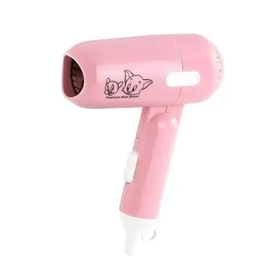Picture of Mini Portable Hair Dryerc