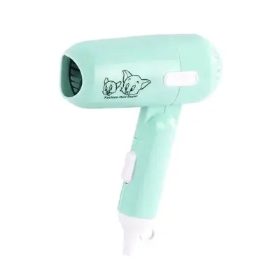 Picture of Mini Portable Hair Dryerc