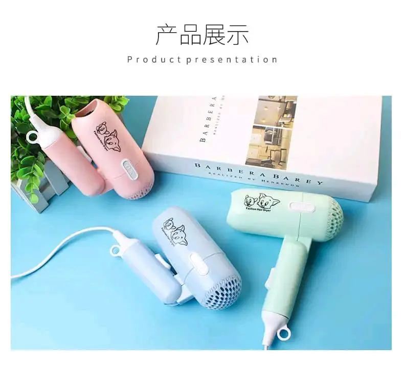 Picture of Mini Portable Hair Dryerc