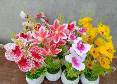 Picture of Artificial Rubber Tree Plant for Home Decoration Flower, Flowers,Grass,hanging,wall,leaf,carpet, pot,  Cutter,  Light Stand,  indoor