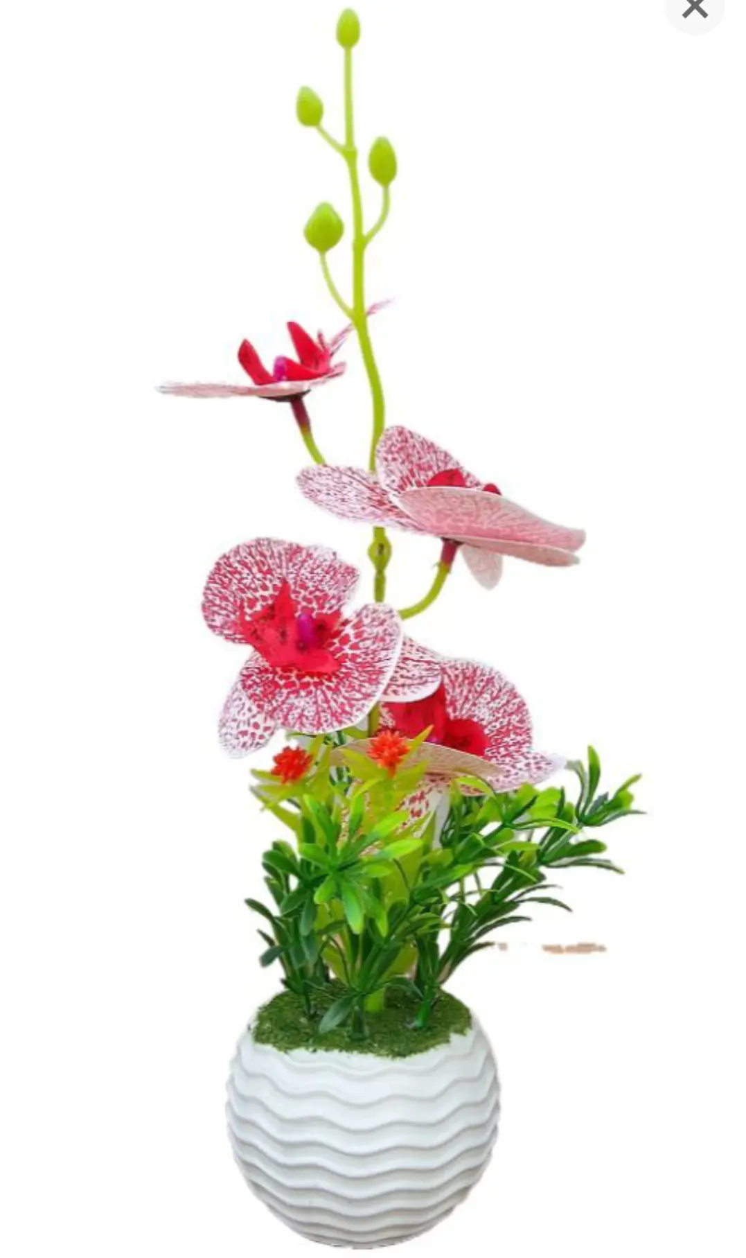 Picture of Artificial Rubber Tree Plant for Home Decoration Flower, Flowers,Grass,hanging,wall,leaf,carpet, pot,  Cutter,  Light Stand,  indoor