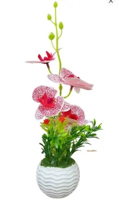 Picture of Artificial Rubber Tree Plant for Home Decoration Flower, Flowers,Grass,hanging,wall,leaf,carpet, pot,  Cutter,  Light Stand,  indoor