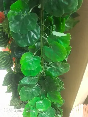 Picture of Hanging Leaf Garland Plant Creeper Leaf Wedding Garden Home Bathroom Silk Green Vine Decor - 1pcs
