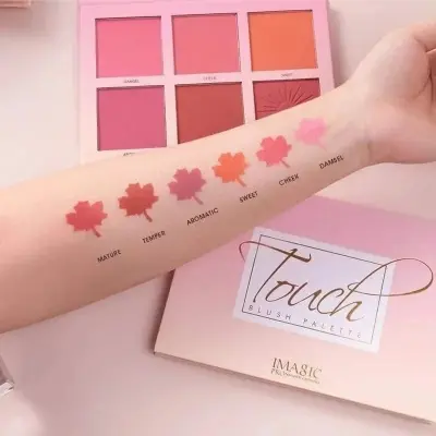 Picture of IMAGIC Touch 6 in 1 Blush Pallet Very Pigmented & Soft Touch Blush