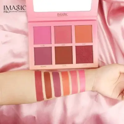 Picture of IMAGIC Touch 6 in 1 Blush Pallet Very Pigmented & Soft Touch Blush