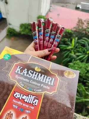 Picture of Kashmiri Fast Color Cone Mehedi - 1pcs