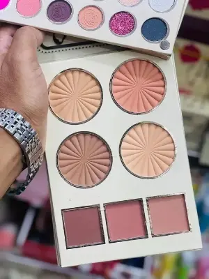 Picture of Sheglam All In One My Loving Makeup Pallet(Eyeshadow, Blush, Contour, Highlighter,Bronzer,Lipstick)