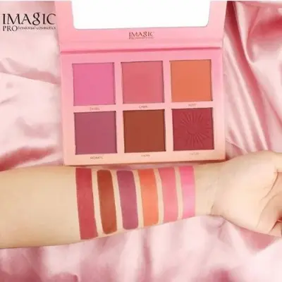 Picture of Imagic Touch 6 in 1 Blush Pallet