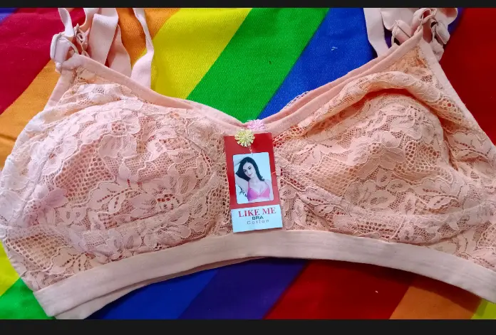 Picture of Export Quality Net Bra for Women - Stylish and
Comfortable Body-Fitting Bra - Multicolor