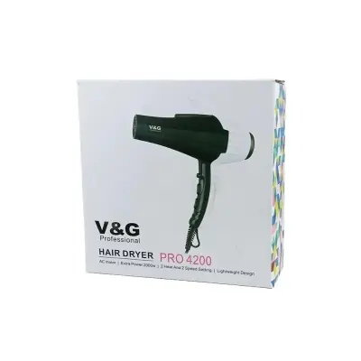 Picture of V & G Pro 4200 — Professional Hair Dryer