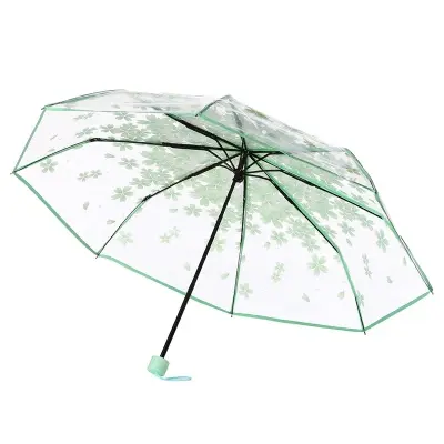 Picture of Fashion Transparent Umbrella with Elegant Grip | MNK SHOP (Blue)