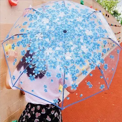 Picture of Color Edged Transparent Umbrella | MNK SHOP (Green)