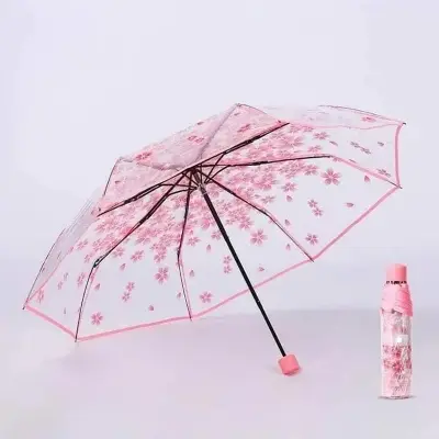 Picture of Transparent Umbrella with Wind Resistant Fiberglass Ribs | MNK SHOP (Green)