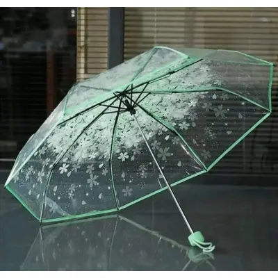 Picture of Clear Dome Umbrella for Elegant Rain Days | MNK SHOP (Green)