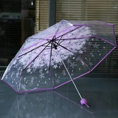 Picture of Transparent Umbrella with Subtle Color Accents | MNK SHOP (Blue)