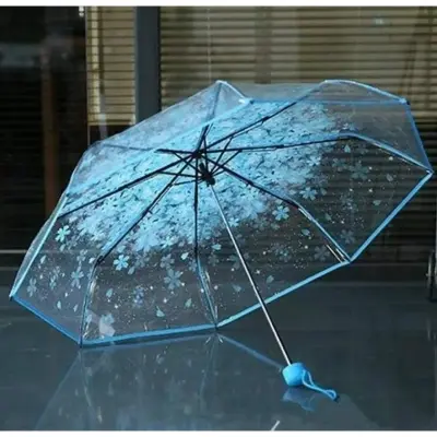 Picture of Durable Transparent Umbrella with Windproof Ribs | MNK SHOP (Blue)
