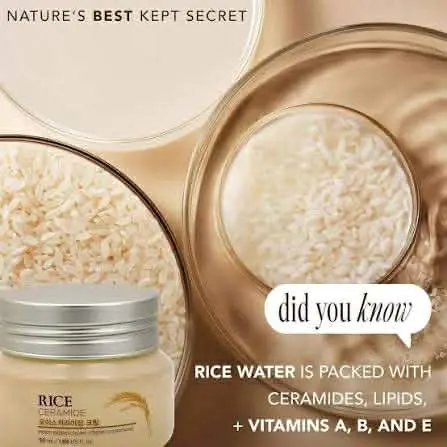 Picture of The face shop Rice & Ceramide Moisturizing Cream 50ml