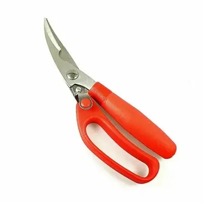 Picture of Chicken Fish And Vegetables Scissor - Red