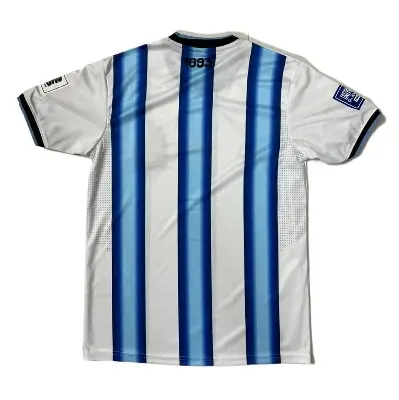Picture of Argentina 2026 World cup Home(Embroidery) Premium National Team Football Jersey - Half Sleeve(White)