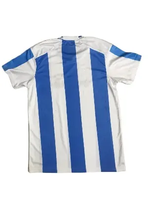 Picture of Argentina Copa America Jersey 2024 ( 3 Star )Half Sleeve Premium Quality With Embroidery - Both Side Print _ Away Kit