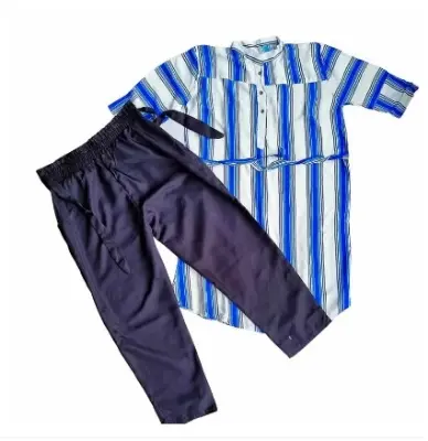 Picture of White Stripe Viscose Long Sleeve Ladies Formal Shirt