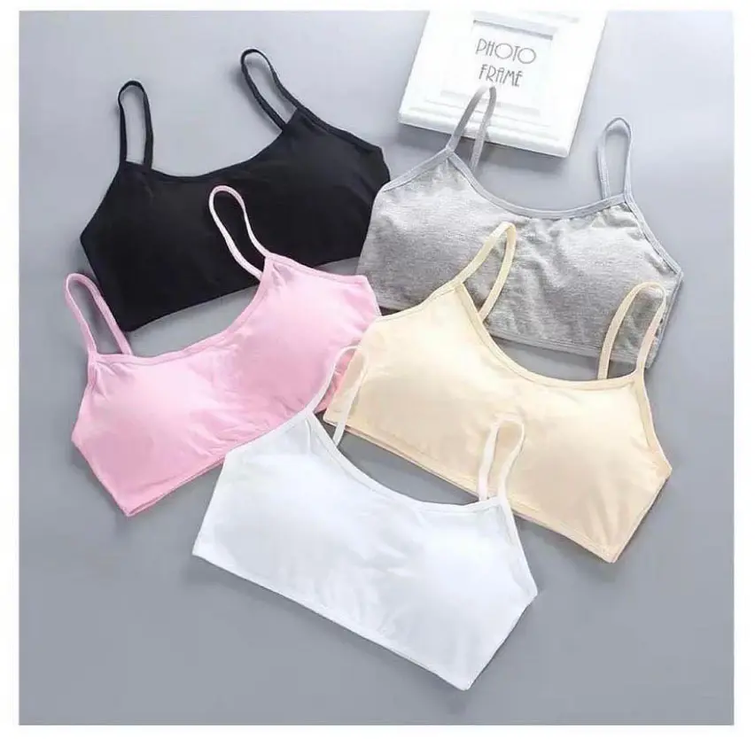 Picture of 3pcs Cotton underwear kids Padded bra for girls