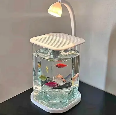 Picture of Fish Aquarium with LED light For Home decoration (0.5)