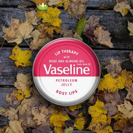 Picture of Vaseline Lip Therapy Rossy Lips 20g 1pcs - Authentic Rose Flavour Lip Balm