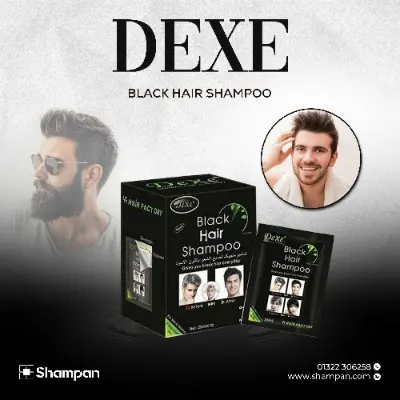 Picture of Dexe Black Hair Shampoo