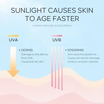 Picture of LAIKOU Japan Sakura SPF50 PA+++ Sunscreen- 8g