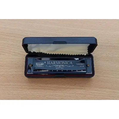 Picture of Dream Maker DM Professional Type C Harmonica 10B(Black)