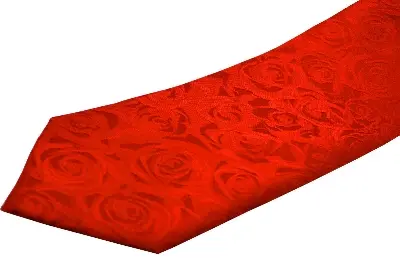 Picture of Zipper System Men's Business Professional Formal Ties Red Flower Shape Men Tie- Zipper(Red)