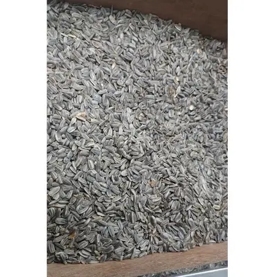Picture of Niger Seed (Gujitil) For Bird-250g
