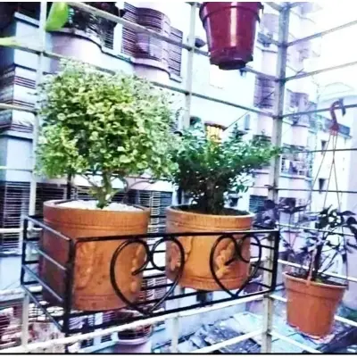Picture of Metal Grill Rack Hanging Planter Pot 15x8x4 inches -1 Pcs. - Black