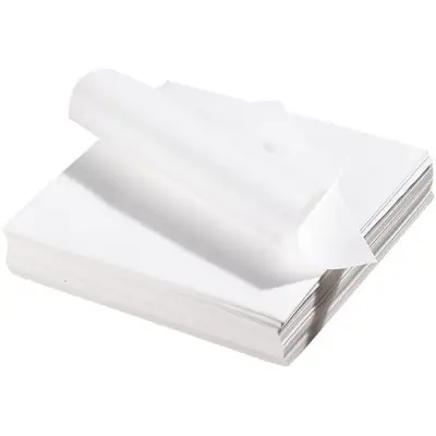 Picture of 100 Pieces White compostable 8x8 (INCH) ruti or parata making or preserving paper - Clear