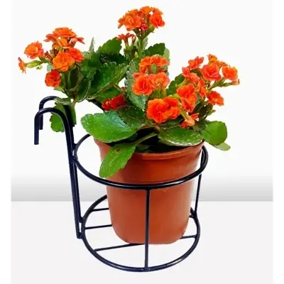 Picture of 1PC 6Inch Round Planter Stand Flower Pot Stand For Balcony Living Room Outdoor Indoor Grill Rack - Black