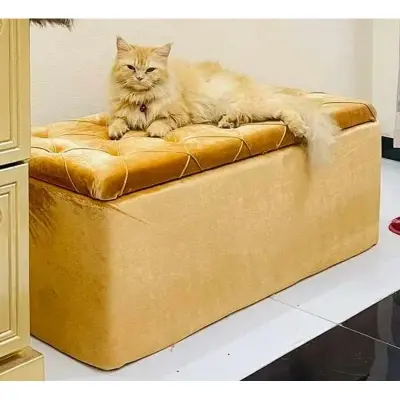 Picture of Divan Sofa Made of High - Quality Material - Perfect Living Room Furniture Multicolor