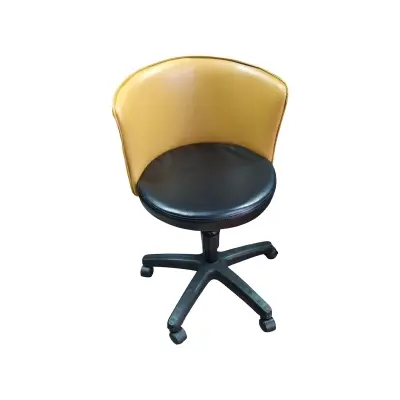 Picture of Computer Chair / Visitor Chair Multicolor
