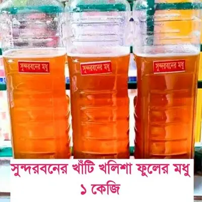 Picture of Naturel satkhira Sundarban Khalisha Flower Honey- 1 kg 