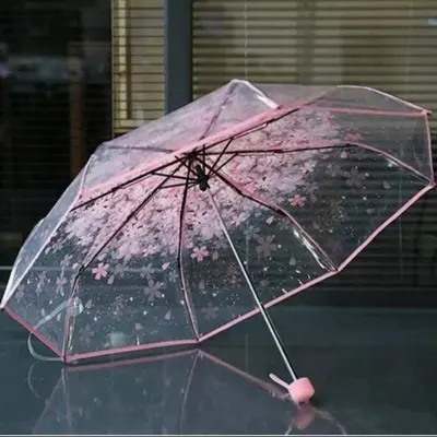 Picture of Foldable See-Through Umbrella with Smooth Frame | MNK SHOP (Pink)