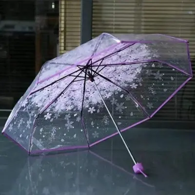 Picture of Compact Clear Umbrella with Windproof Technology | MNK SHOP (Blue)
