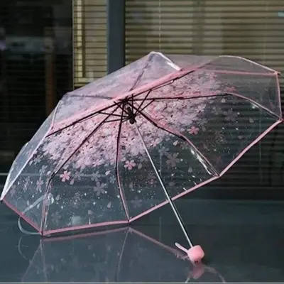 Picture of Portable Transparent Umbrella with Easy Folding | MNK SHOP (Pink)