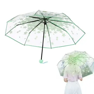 Picture of All Weather Clear Canopy Umbrella | MNK SHOP (Purple)