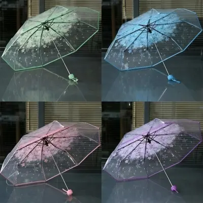 Picture of Stylish Clear Umbrella with Wind Resistant Frame | MNK SHOP (Pink)