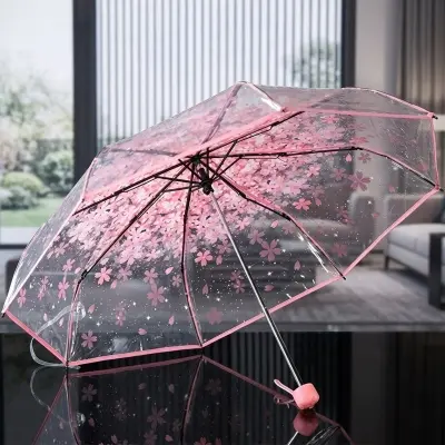 Picture of Simple & Chic Transparent Umbrella Design | MNK SHOP (Blue)