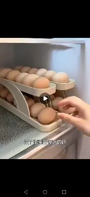 Picture of Plastic Automatic Rol.ling Double Dispe.nser Egg Holder -Multicolor