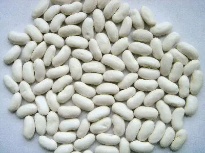 Picture of White Kidney Beans - 1kg